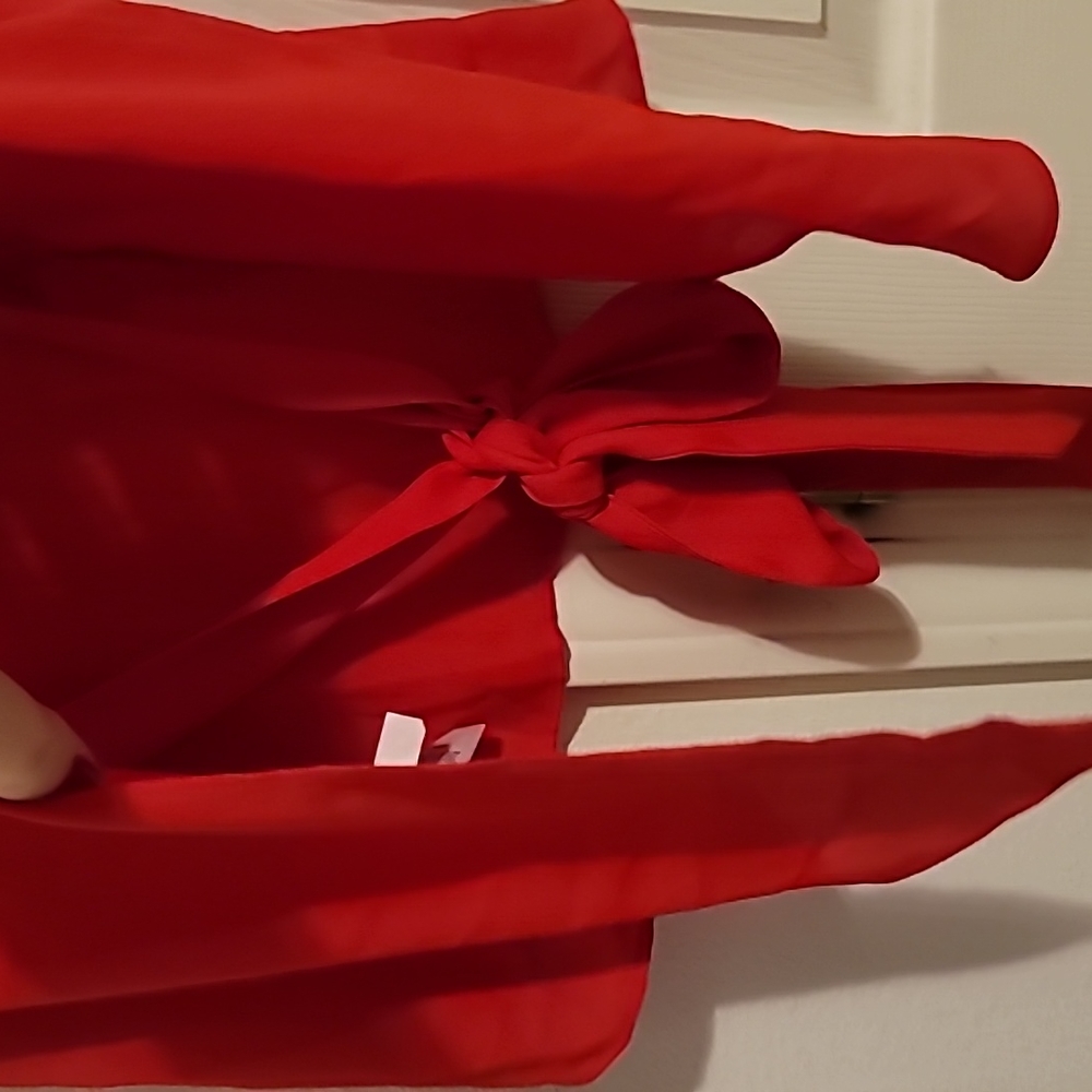 Express Red Blouse - Picture 3 of 4